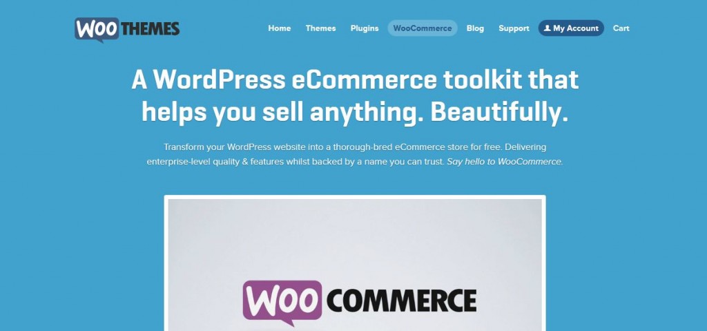 Wordpress, Woo-Commerce und WPML